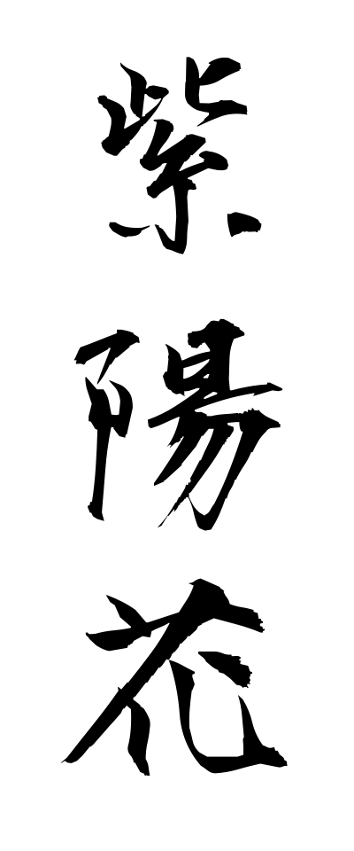 a10094紫陽花あじさい