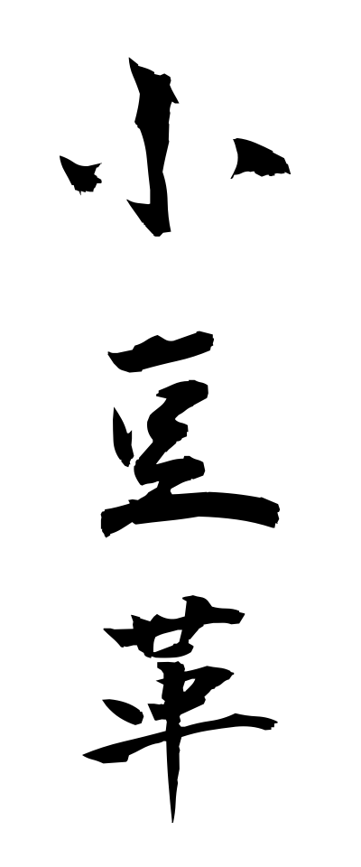 a10100小豆革あずきがわ