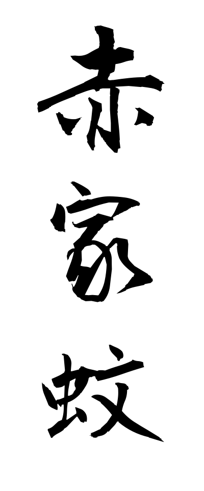 a10272赤家蚊あかいえか