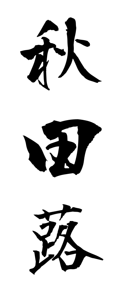 a10345秋田蕗あきたぶき