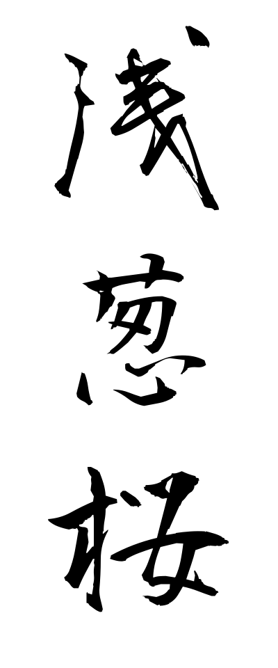 a10390浅葱桜あさぎざくら