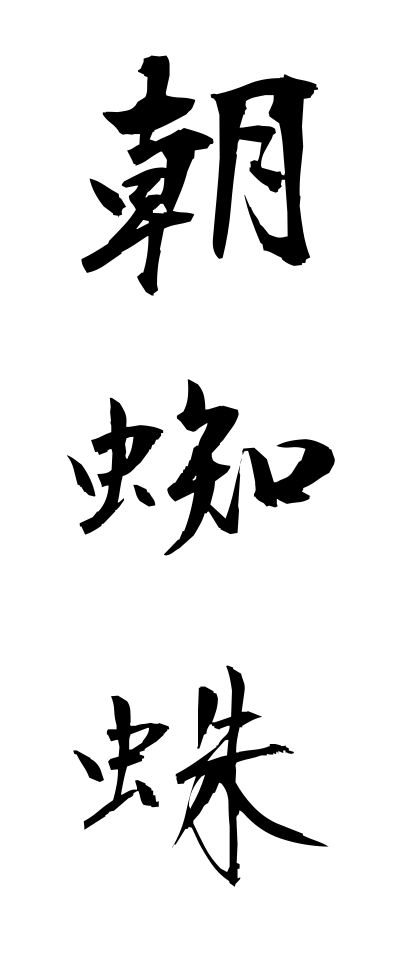 a10397朝蜘蛛あさぐも