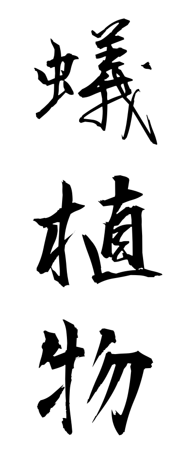 a10607蟻植物ありしょくぶつ