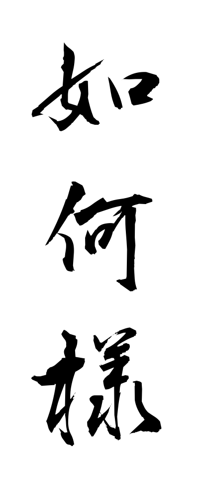 a20015如何様いかさま