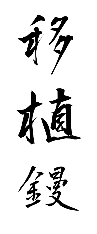 a20053移植鏝いしょくごて