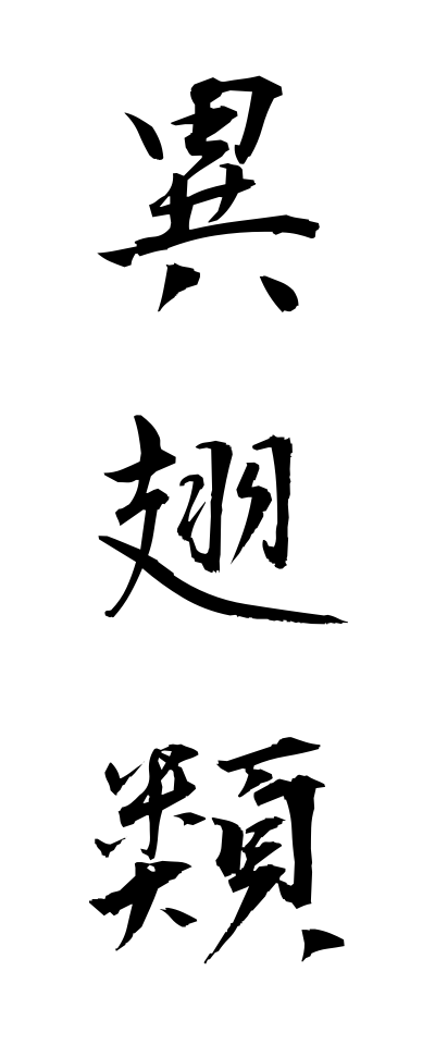 a20056異翅類いしるい