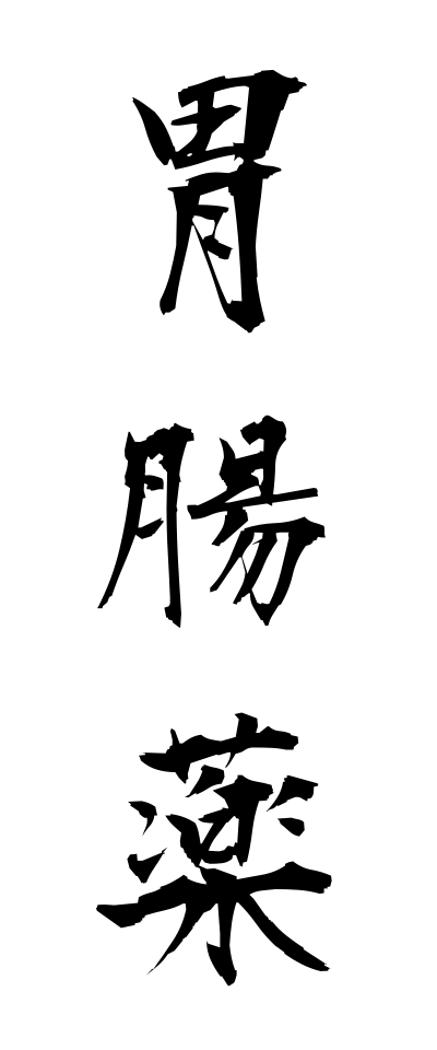 a20133胃腸薬いちょうやく