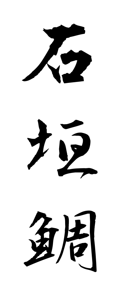 a20386石垣鯛いしがきだい