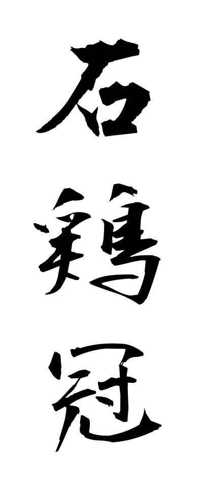 a20405石鶏冠いしとさか