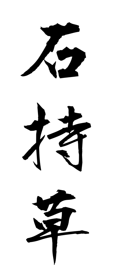 a20421石持草いしもちそう