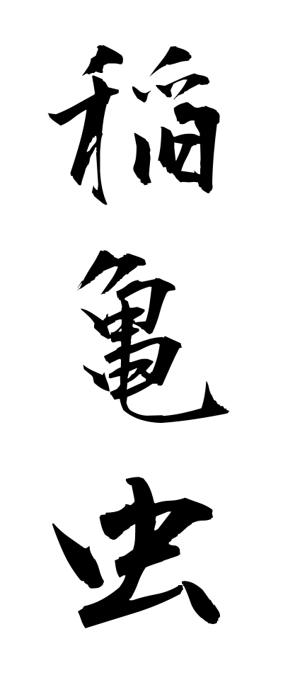 a20643稲亀虫いねかめむし