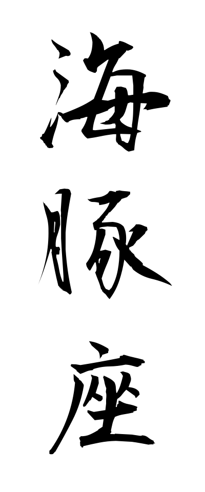 a20700海豚座いるかざ