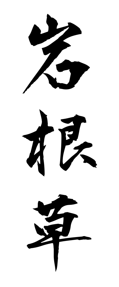 a20723岩根草いわがねそう