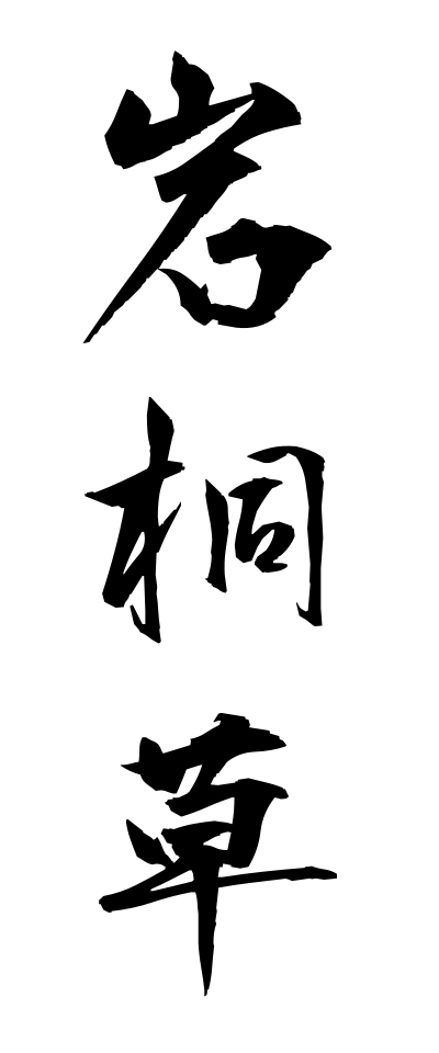 a20728岩桐草いわぎりそう