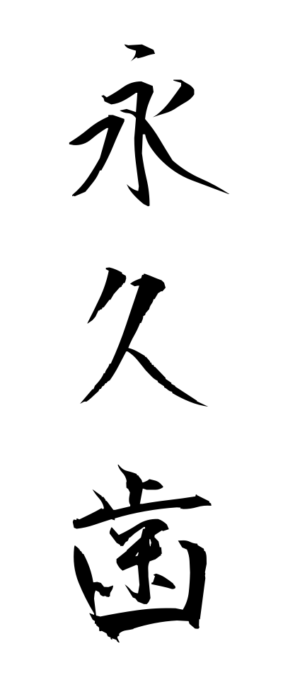 a40009永久歯えいきゅうし