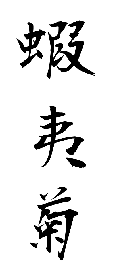 a40181蝦夷菊えぞぎく