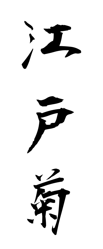 a40210江戸菊えどぎく