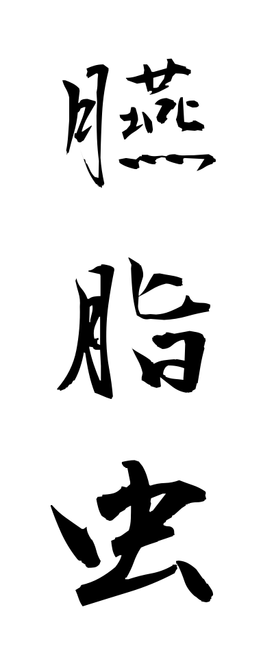 a40279臙脂虫えんじむし