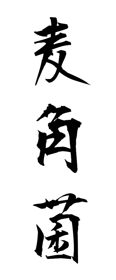 h10100麦角菌ばっかくきん