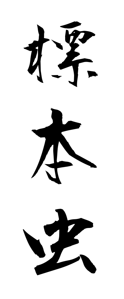 h20607標本虫ひょうほんむし