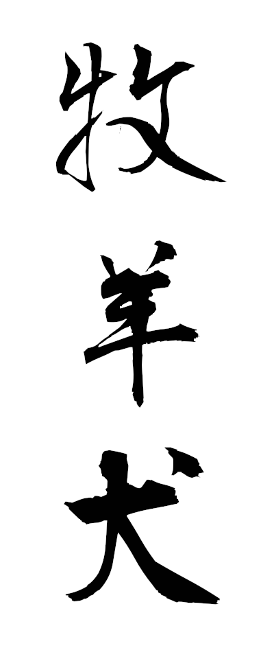 h50004牧羊犬ぼくようけん