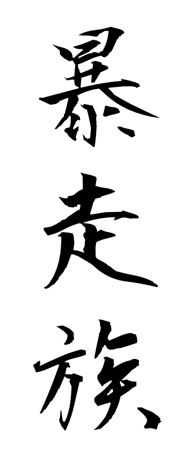 h50044暴走族ぼうそうぞく