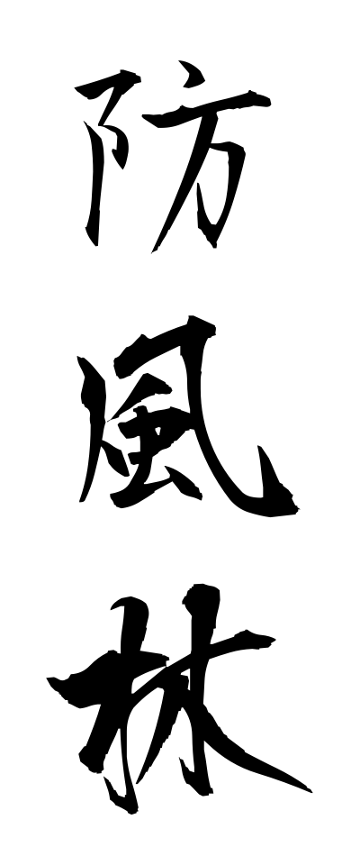 h50058防風林ぼうふうりん