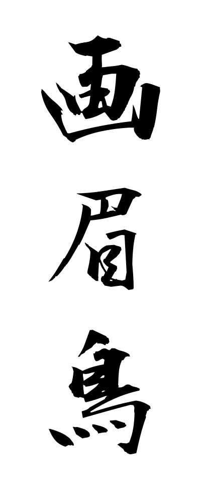 h50326画眉鳥ほおじろ