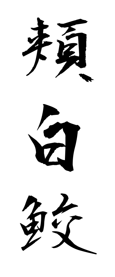 h50328頬白鮫ほおじろざめ