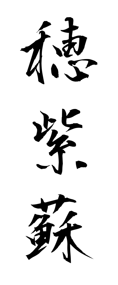 h50384穂紫蘇ほじそ