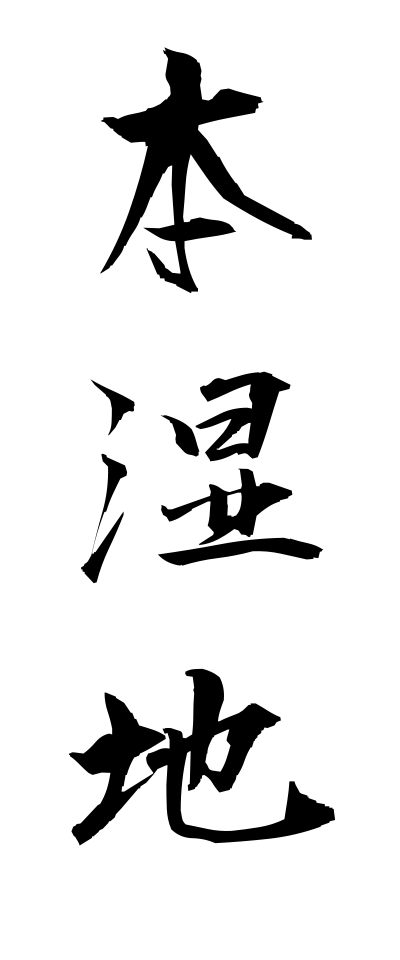 h50508本湿地ほんしめじ