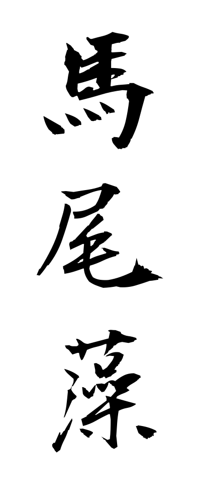 h50518馬尾藻ほんだわら