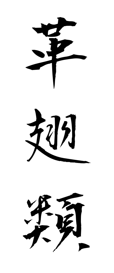 k10785革翅類かくしるい