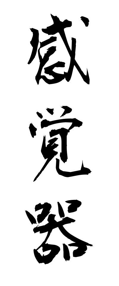 k11211感覚器かんかくき