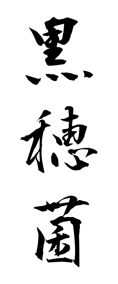 k30382黒穂菌くろぼきん