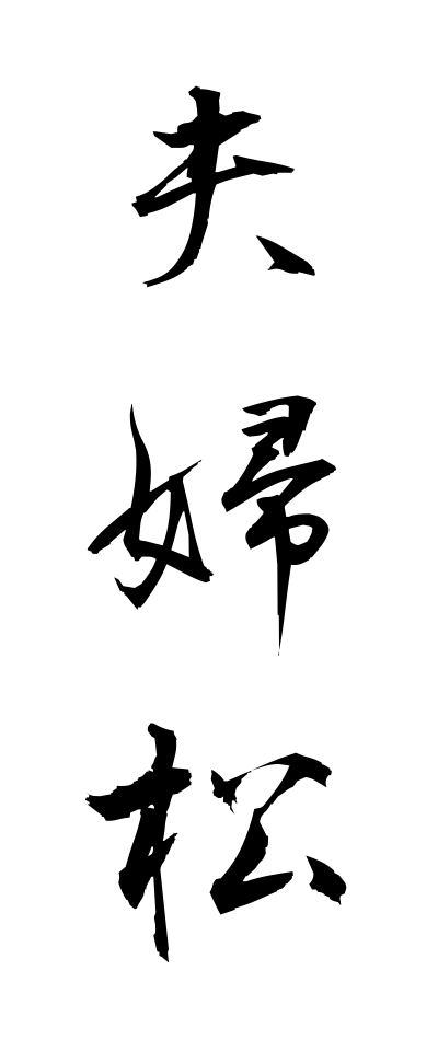 m40104夫婦松めおとまつ