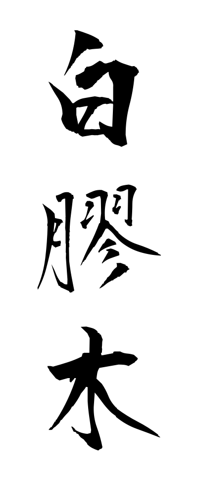 n30028白膠木ぬるで