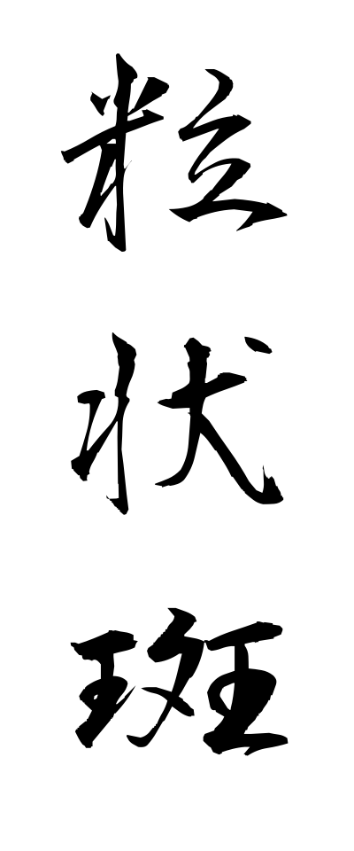 r20273粒状斑りゅうじょうはん