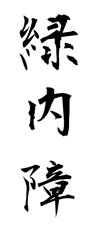 r20385緑内障りょくないしょう