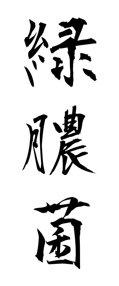 r20386緑膿菌りょくのうきん