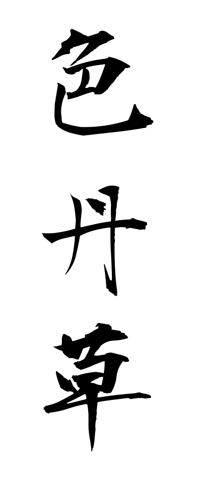 s20966色丹草しこたんそう