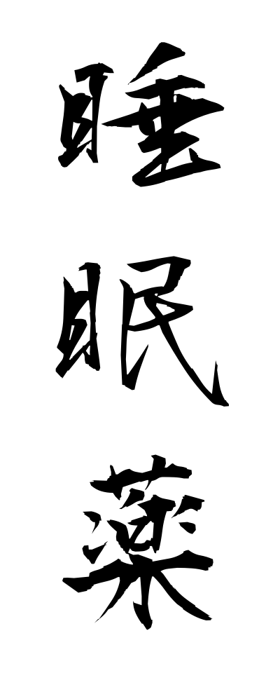 s30133睡眠薬すいみんやく