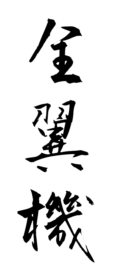 s40001全翼機ぜんよくき