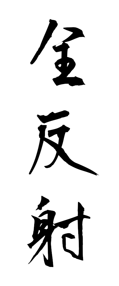 s40020全反射ぜんはんしゃ