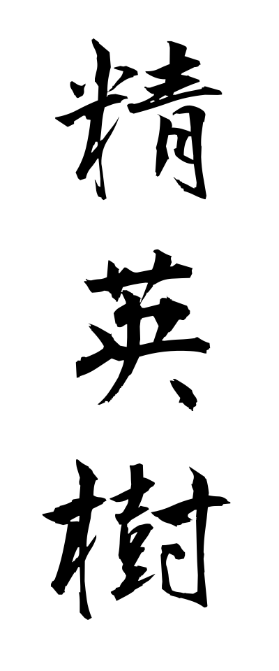 s40296精英樹せいえいじゅ