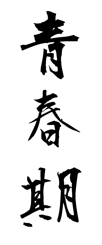 s40422青春期せいしゅんき