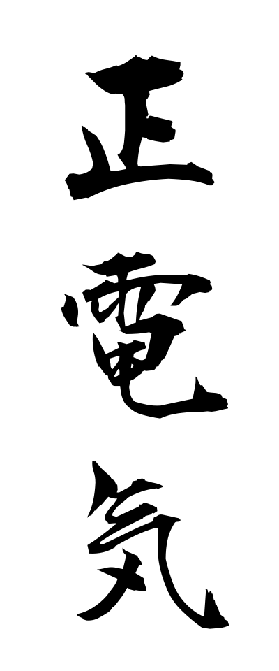 s40497正電気せいでんき