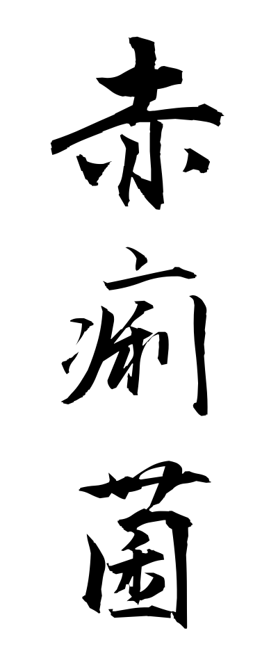 s40676赤痢菌せきりきん