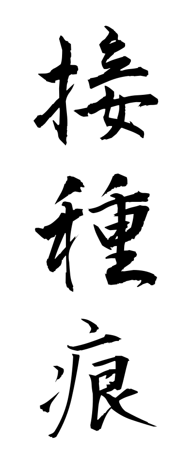 s40733接種痕せっしゅこん