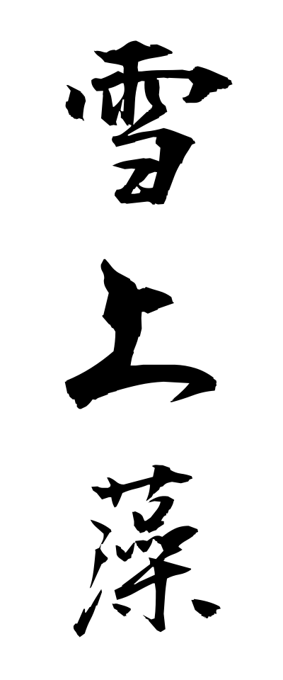 s40739雪上藻せつじょうそう